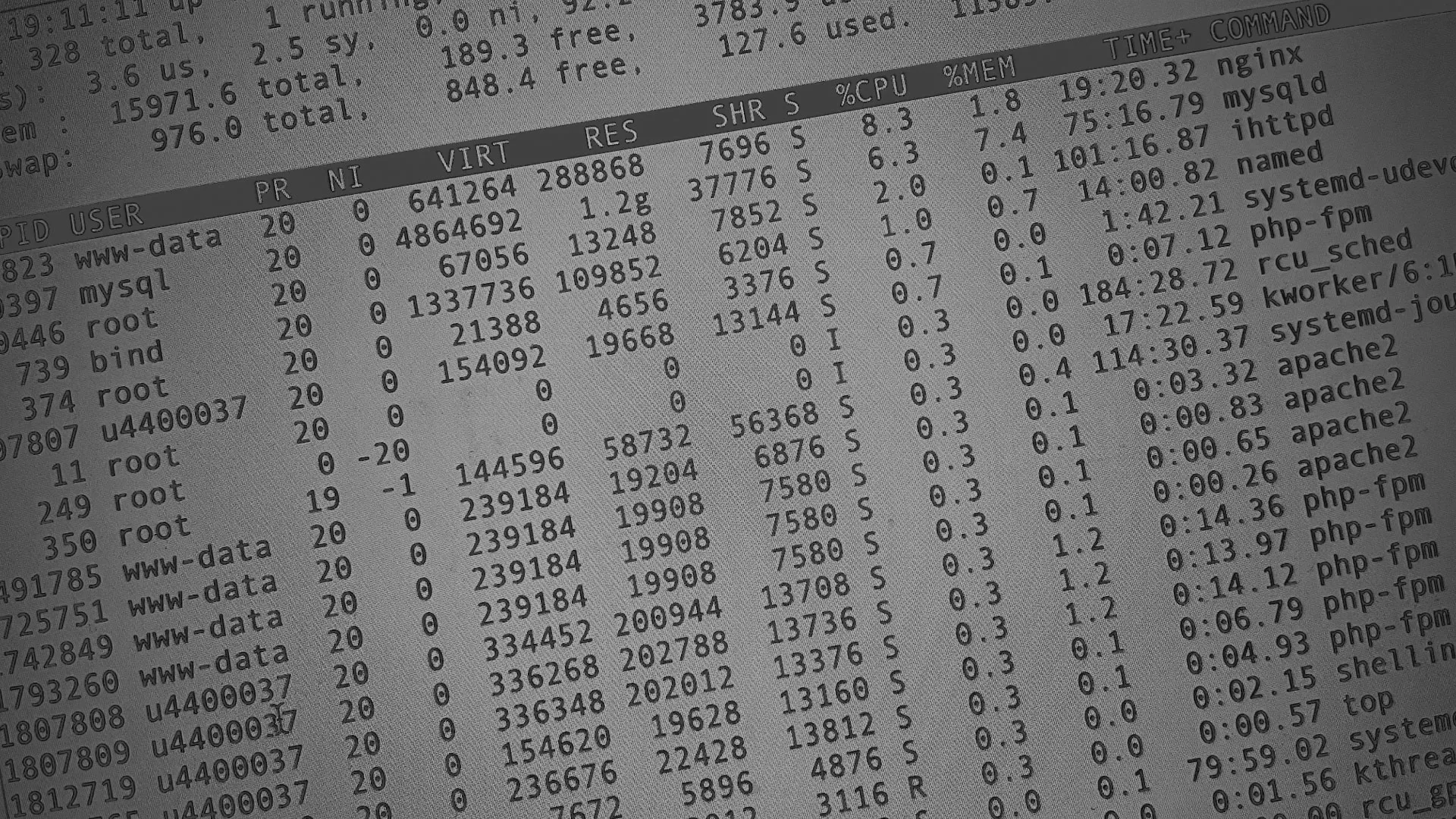 Настройка сервера в Белой Холунице