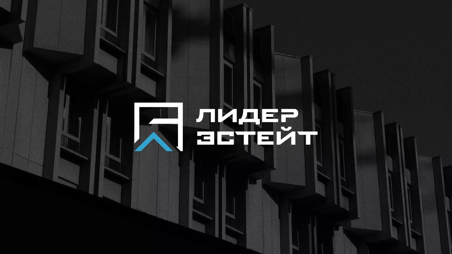 Разработка логотипа агентства недвижимости «Лидер Эстейт» в Белой Холунице
